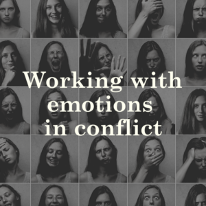 Working with emotions in conflict