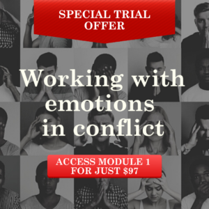 TRIAL Module 1 of Working with emotions in conflict course