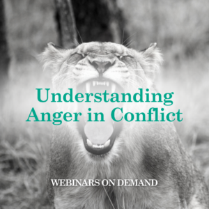 WOD: Understanding Anger in Conflict