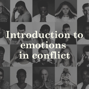 Introduction to emotions in conflict
