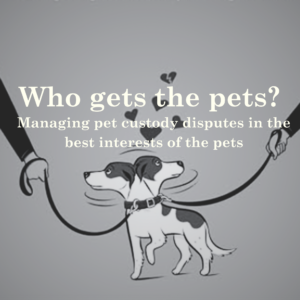 Who Gets the Pets? Managing Custody Disputes in the Best Interests of the Pets